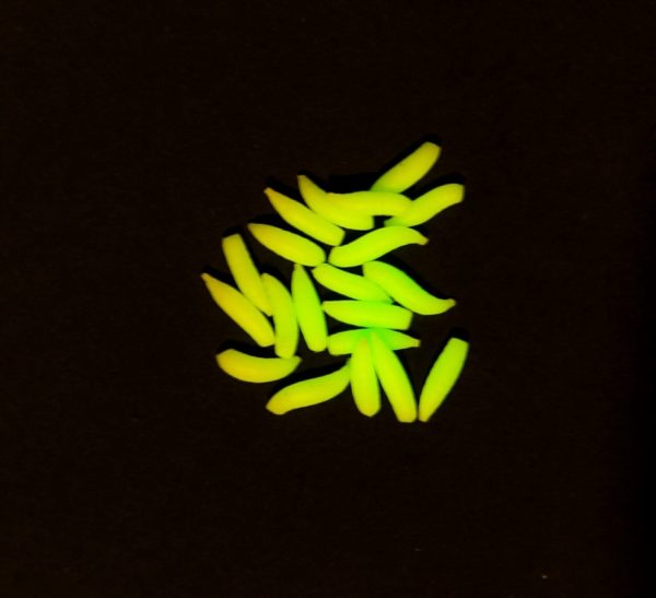 MAD CARP  Sztuczny Robak FLUO. Kolor  fluorescencyjny świecący . Wykonany z gumy najwyższej jakości (ENSOFT SX-300-10A-D2-000) Sztuczny robak pływający, idealny do wszystkich metod gruntowych. Do złudzenia przypomina naturalne czerwie owadów. Idealnie wchłania i długo utrzymuje dipy , boostery , itp. . Przydatny wszędzie tam gdzie chcemy by nasza przynęta nie zniknęła w roślinności lub mule. Najlepsze efekty daje gdy się go zadipuje i zaprezentuje na haczyku razem z innymi , również naturalnymi przynętami. Doskonały do połowu pstrąga. Rozmiar 11mm-12mm. 20 sztuk w opakowaniu.